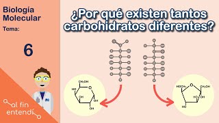 Estructura y unión de carbohidratos  Enlaces Glucosídicos [upl. by Auqenahc]