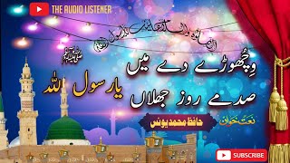 vichore de main sadme roz jhalan naat by Hafiz M Younis  The Audio Listener  New Naat 2024 [upl. by Ayatnahs434]