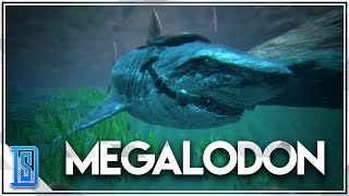 Ark Survival EvolvedSeason 7 P30 TAME THE MEGALODONSEA CAGE [upl. by Ayatan]