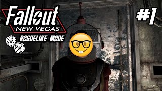 Fallout New Vegas but its a ROGUELIKE 1 [upl. by Barron]