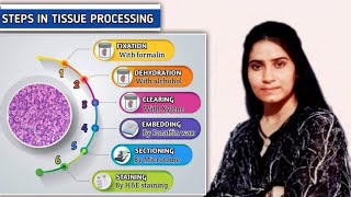 Steps by Steps Tissue Processing Fixation Dehydration embedding Histopathology [upl. by Eberle995]