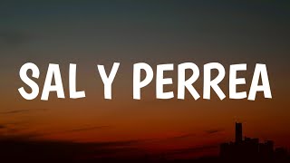 Sech  Sal y Perrea LetraLyrics [upl. by Atelokin]