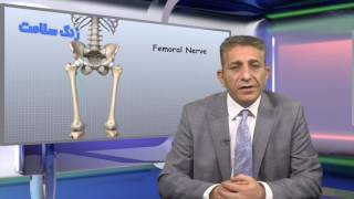 TV 99 Trochanteric Bursitis hip pain التهاب ران بورسیت تروکانتر و درمان فیزیوتراپی [upl. by Festatus619]