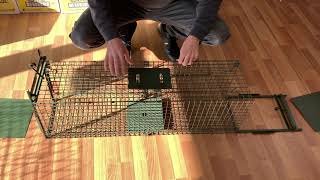 Pestrol Extra Large Animal Trap  How to set up you humane trap [upl. by Krefetz]