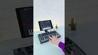 Fun way to learn Keys with MELODICS Shorts PianellaPianoShorts [upl. by Nie]