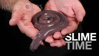 Have You Met a Hagfish It’s About Slime  Deep Look [upl. by Litsyrk]