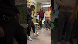 Freestyle Duell VS MOUKOKO BVB Star 🤫😱 shorts jannikfreestyle [upl. by Alimhaj]