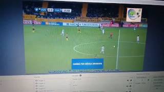 Link para ver peñarol vs fenix en vivo [upl. by Winnah]