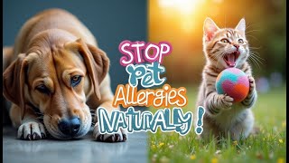 Whats the Best Natural Remedy for Pet Allergies [upl. by Gotcher]