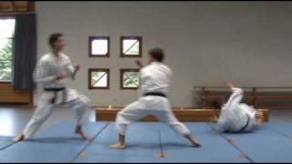 Heian Shodan Bunkai [upl. by Iccir]