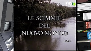 LE SCIMMIE DEL NUOVO MONDO [upl. by Wakefield]