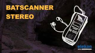 BATSCANNER STEREO  Stereo bat detector audio demo [upl. by Graehl784]