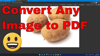 Convert any Image to a PDF in Windows [upl. by Naples779]