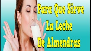 Para Que Sirve La Leche De Almendras Beneficios De La Leche De Almendras Receta Leche De Almendras [upl. by Devaney649]