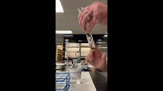 Aldehyde amp Ketone Reactions Experiment [upl. by Anallij]