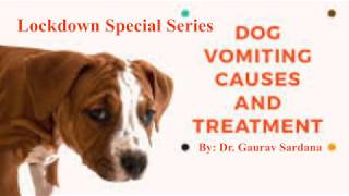 dog vomiting home treatment [upl. by Airpac194]