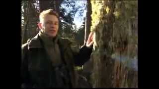 Part 2 BBC Autumnwatch 2012  Episode 3 [upl. by Enobe]