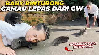 GEMESS BABY BINTURONG SELALU NEMPEL SAMA GW DI TINGGAL DIKIT AUTO NANGIS [upl. by Marsland946]