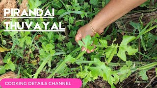 Pirandai thovaiyal in tamil  Pirandai chatney  Cooking Details Channel [upl. by Cristian]