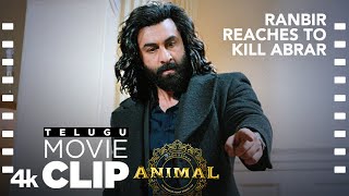 ANIMAL TELUGU SCENE 23 Ranbir Reaches To Kill AbrarğŸ”ª  Ranbir K Bobby Deol Sandeep V Bhushan K [upl. by Eba807]