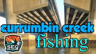 Currumbin creek fishing [upl. by Zwart155]