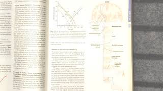 Guyton Chapter 48  Anterolateral Pathway  Anatomy and Physiology [upl. by Lyrahs]