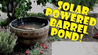 Mini Garden Goldfish Pond  Solar powered [upl. by Durwood]