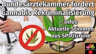 Bundesärztekammer fordert Rekriminalisierung von Cannabis Ruf nach Cannabisgesetz Aufhebung  Infos [upl. by Felicia]