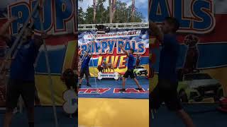 The Puppy Pals Comedic Stunt Dog Show Dare Devil Cash Jump Creekside Festival Palm Coast [upl. by Buchanan]