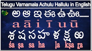 How to Learn telugu Reading and Writing Learn telugu through english  Telugu achulu hallulu AaRra [upl. by Beryl910]