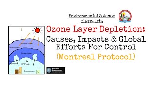 Ozone Layer DepletionCauses Impacts and Global efforts for Control Montreal protocol 12thJKBose [upl. by Ahsaelat963]