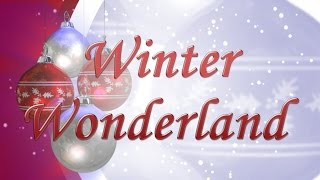 Winter Wonderland  Felix Bernard  Instrumental Cover [upl. by Byrn97]