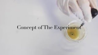 Decolourisation of DCPIP solution in vitamin C [upl. by Drofyar]