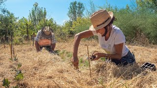 ORTO ELEMENTARE AL BOSCO DI OGIGIA CON GIAN CARLO CAPPELLO [upl. by Okramed]