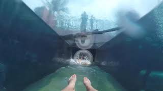 Atlantis Bahamas all Water Slides POV [upl. by Adamina548]