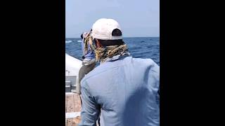 longline fishing vessel shorts ytshorts shortsfeed fishing tuna [upl. by Costanzia]