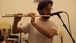 Fascinating Rhythm Jacob Collier Melodica Solo  Flute Cover [upl. by Cromwell]