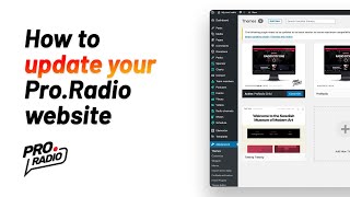 How to update ProRadio theme and plugins ProRadio WordPress Theme Tutorial [upl. by Onimixam]