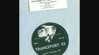 Tranceport 23  Heavenly Feelings CLASSIC 1994 [upl. by Naihtsirc]