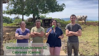 Entrevista en Ganadería Los Javieres SC de Camás Cabranes  El Campo de Asturias [upl. by Enaamuj637]