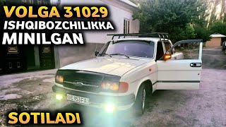 Volga 31029 zo‘ri chiqdi sotiladi Ishqibozchilikka minilgan aravasi xam bor [upl. by Vincenta473]