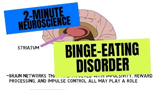 2Minute Neuroscience BingeEating Disorder [upl. by Hans]