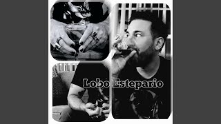 Lobo estepario [upl. by Turner]