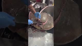 Big stingray fishhow to cutting stingray fish Hearshorts [upl. by Cummings158]