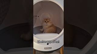 Unboxing PetSafe ScoopFree SmartSpin SelfCleaning Litter Box petsafe cats [upl. by Gittel616]