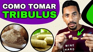 Tribulus Terrestris Como Tomar  Em Pó ou Capsula Guia Completo [upl. by Enined]