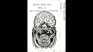 Siegmar Fricke Teatrano Della Volpe Der Pilz – Three Into One Vol1 1991 Compilation [upl. by Drusy]