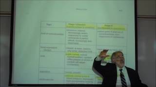 The Use of Nitrous Oxide in Conscious Sedation by Professor Fink [upl. by Alvy192]