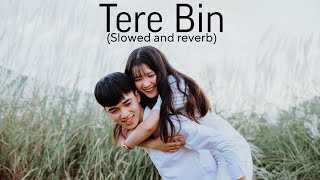 Tere bin hindi song slowed and reverbhindi slowed song [upl. by Eniksre]