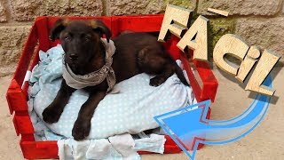 COMO HACER UNA CAMA PARA PERRO RECICLADA [upl. by Sorips]